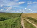 Szczytno atrakcje – odkryj najciekawsze miejsca i aktywności w mieście