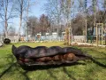Najlepsze atrakcje w Brwinowie, które zachwycą całą rodzinę