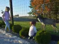 Park przygód i atrakcji w Wilkowicach: Ciekawe atrakcje i ceny biletów