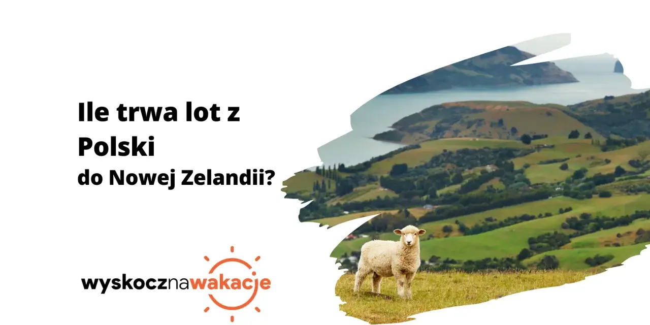 Ile trwa lot z Polski do Nowej Zelandii? Zaskakujące fakty o czasie podróży