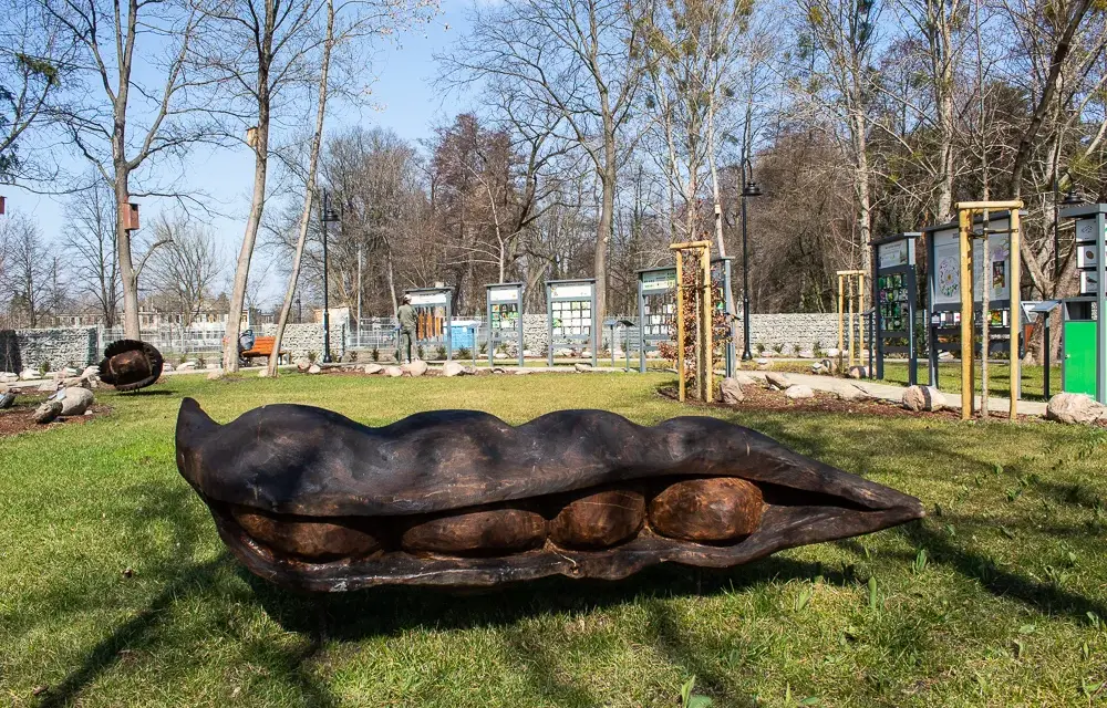 Najlepsze atrakcje w Brwinowie, które zachwycą całą rodzinę