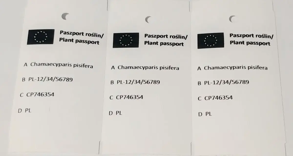 Ile kosztuje paszport roślin? Zaskakujące opłaty i wyjątki