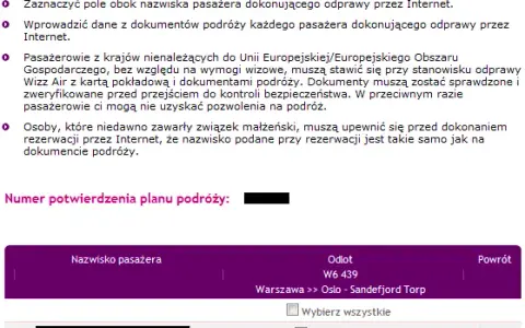 Jak wygląda karta pokładowa Wizz Air? Oto wszystko, co musisz wiedzieć