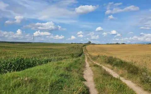 Szczytno atrakcje – odkryj najciekawsze miejsca i aktywności w mieście