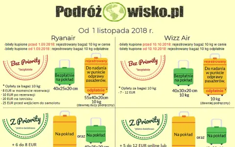 Jak kupić taniej bagaż Ryanair i uniknąć wysokich opłat