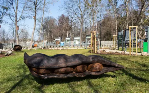 Najlepsze atrakcje w Brwinowie, które zachwycą całą rodzinę