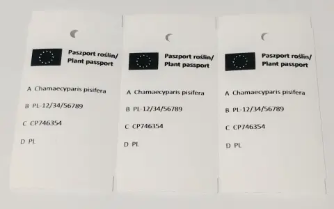 Ile kosztuje paszport roślin? Zaskakujące opłaty i wyjątki