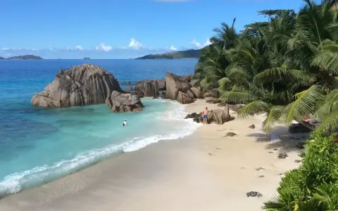 Plaża na Seszelach z turkusową wodą, palmami i formacjami skalnymi.