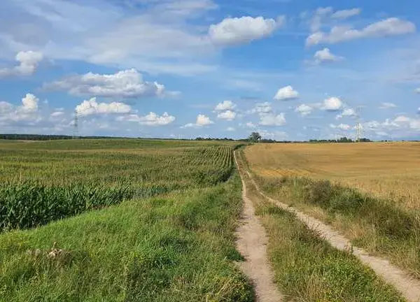 Szczytno atrakcje – odkryj najciekawsze miejsca i aktywności w mieście