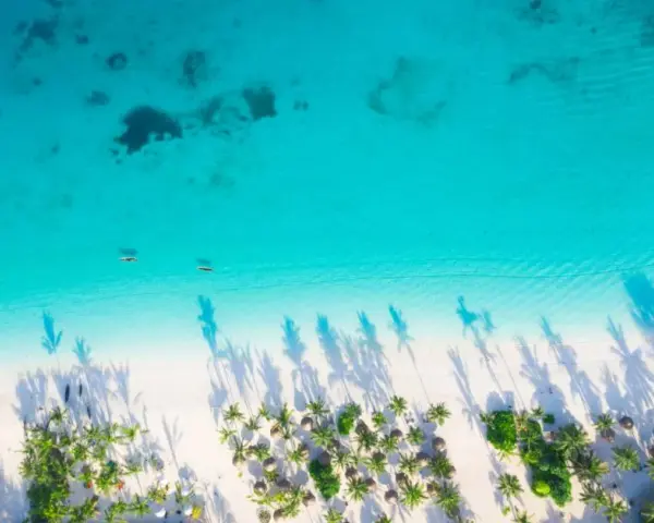 Ile trwa lot z Polski na Zanzibar? Sprawdź czas podróży i trasy