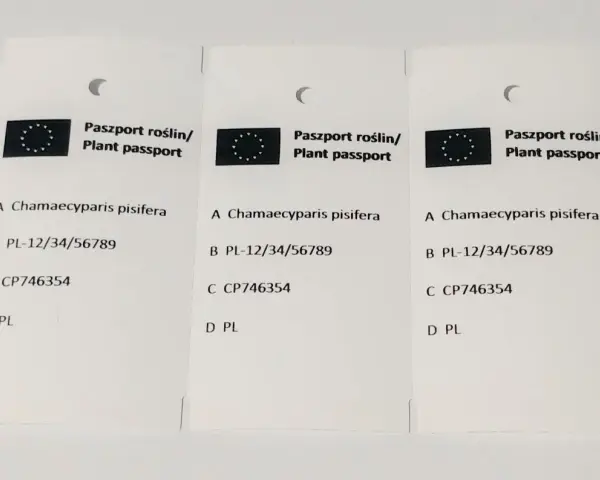Ile kosztuje paszport roślin? Zaskakujące opłaty i wyjątki