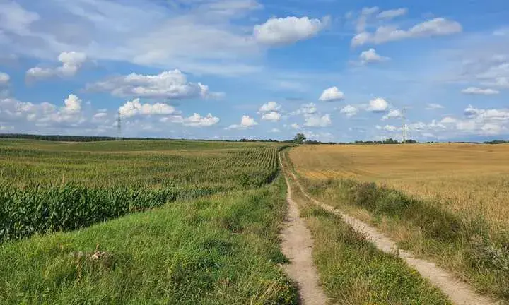 Szczytno atrakcje – odkryj najciekawsze miejsca i aktywności w mieście