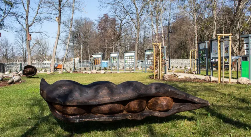 Najlepsze atrakcje w Brwinowie, które zachwycą całą rodzinę