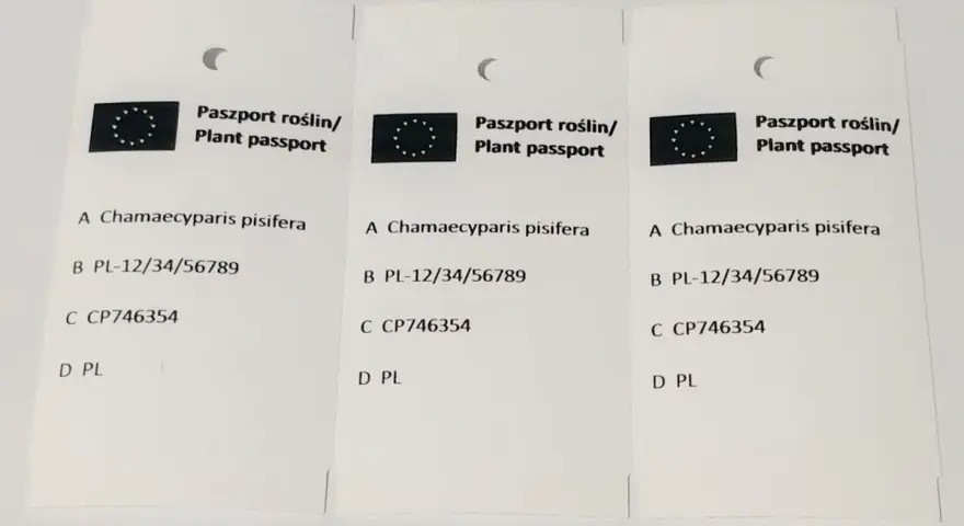 Ile kosztuje paszport roślin? Zaskakujące opłaty i wyjątki