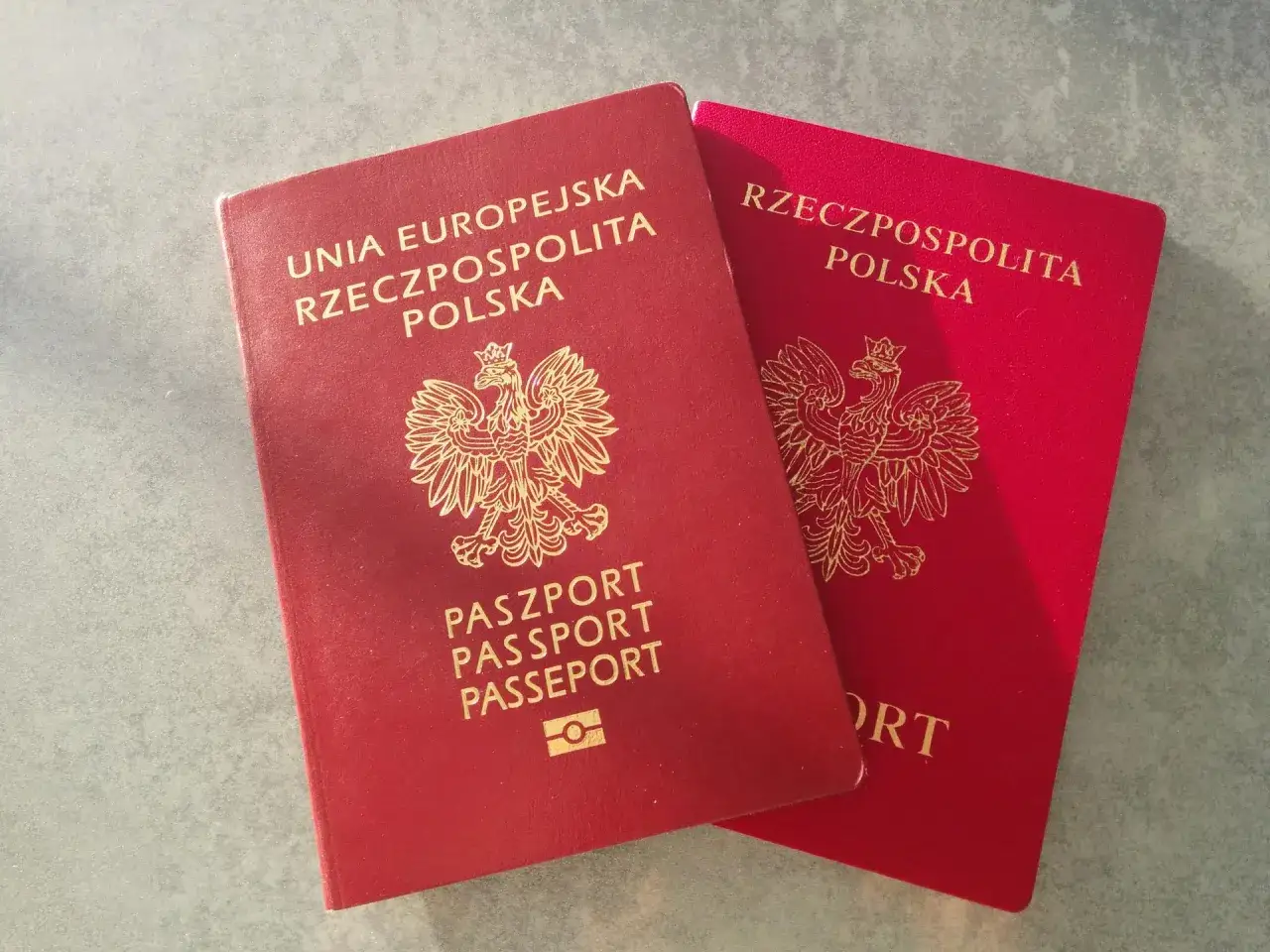 Zdjęcie Gdzie zgłosić zgubienie paszportu? Oto kluczowe informacje i porady